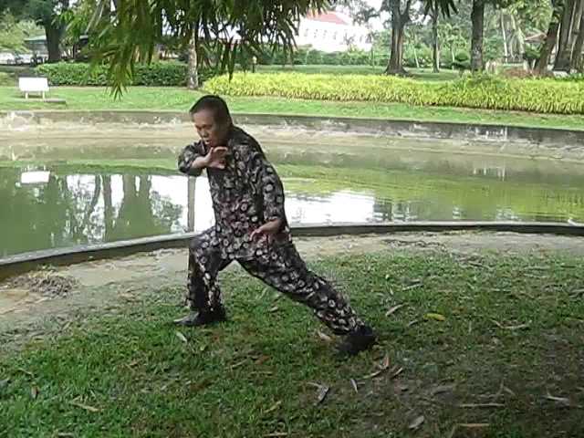 Shaolin 72 Chin-Na Techniques 2015